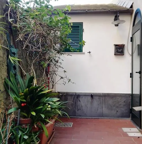 Mario With Garden アパート レヴァント