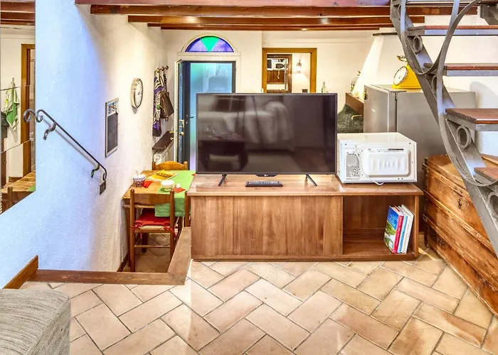 Mario With Garden Λεβάντο