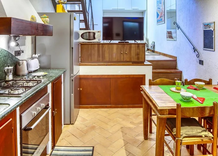 Mario With Garden Λεβάντο